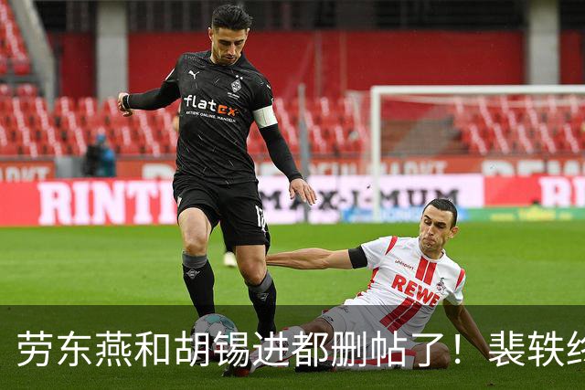 劳东燕和胡锡进都删帖了！裴轶终究还是错付了……
