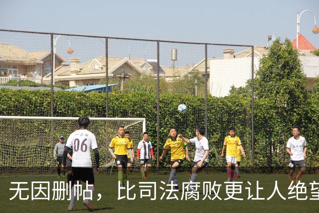 无因删帖，比司法腐败更让人绝望