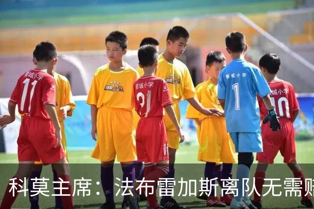 科莫主席：法布雷加斯离队无需赔偿
