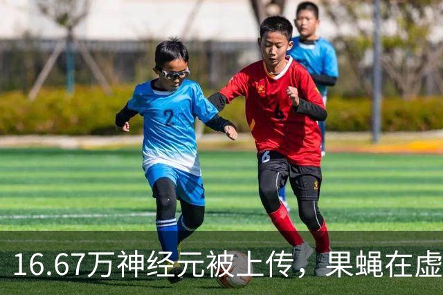 16.67万神经元被上传，果蝇在虚拟世界沦为赛博奴工